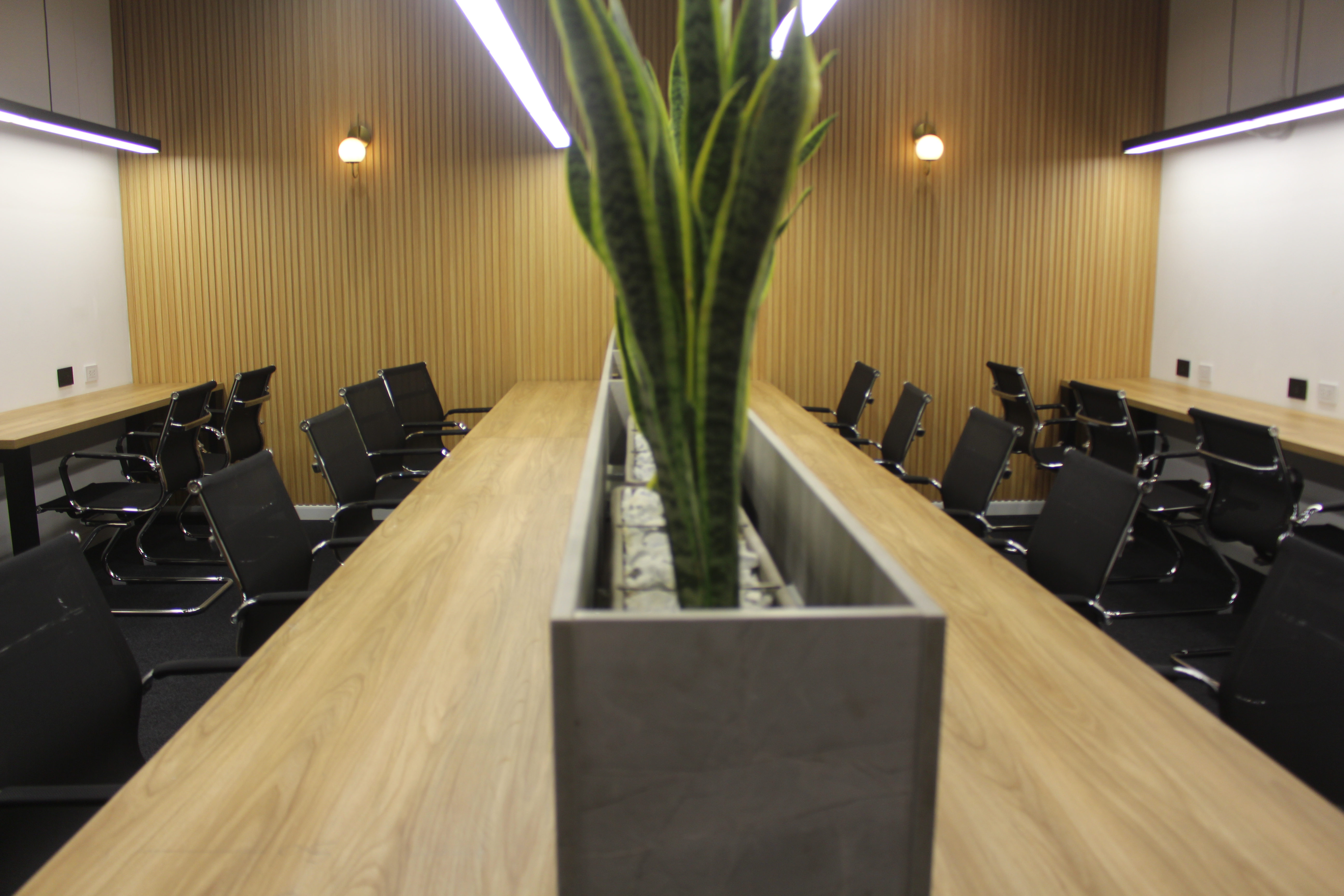 Galería 3