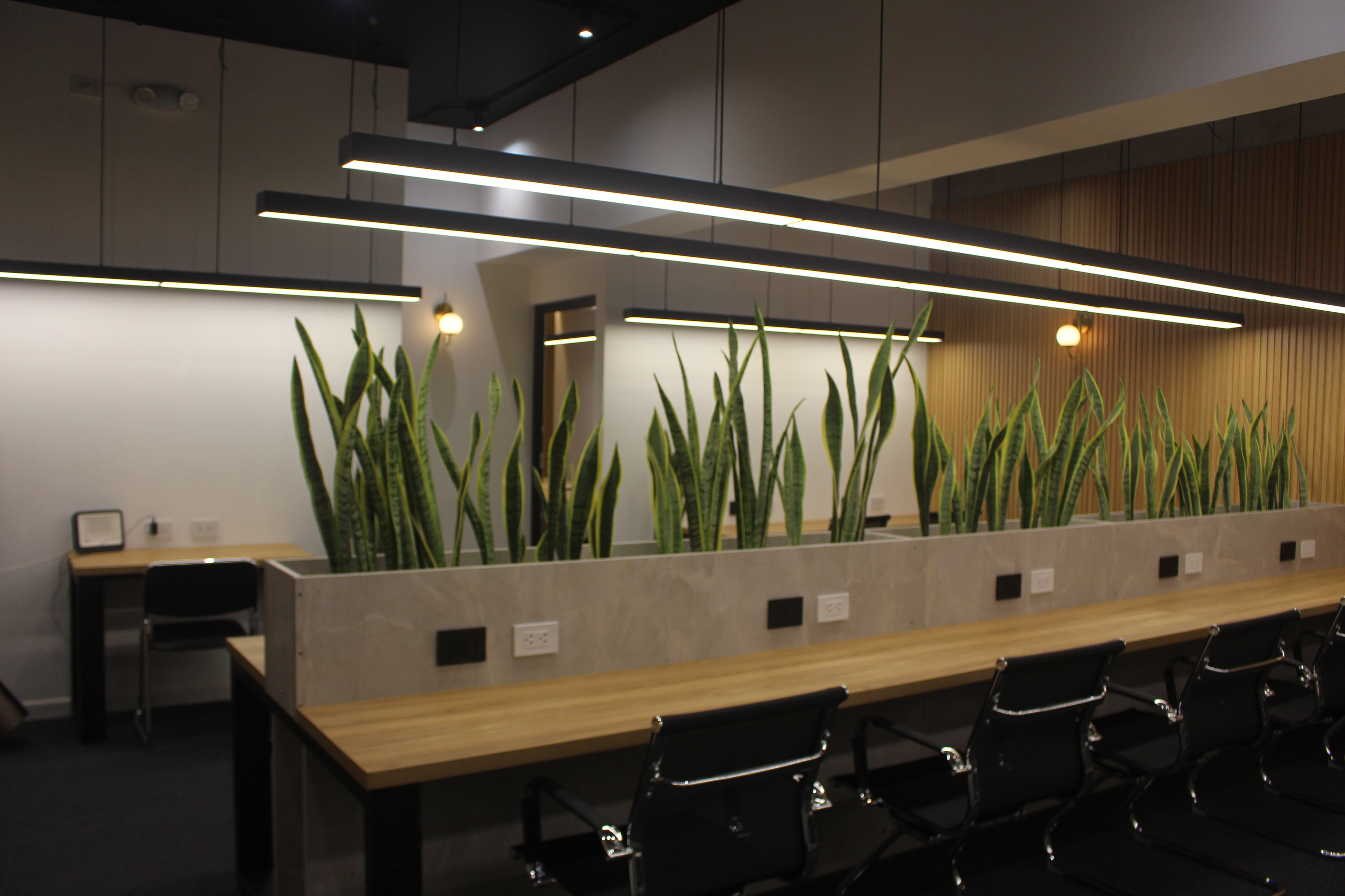 Reglamento Coworking