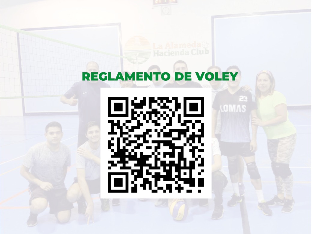 Voleibol